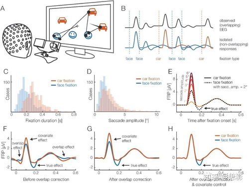 思影科技眼動數(shù)據(jù)處理服務(wù)與軟件開發(fā)，賦能精準視覺洞察